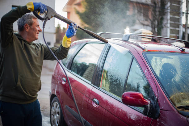 Best Exterior Home Cleaning  in Roxana, IL